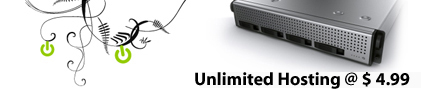 Unlimited Hosting